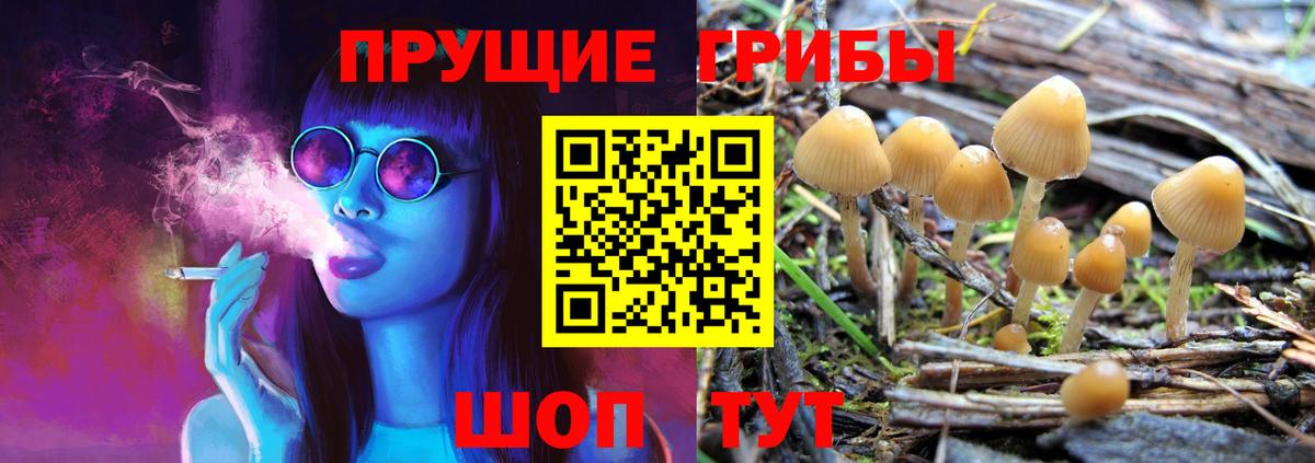 Псилоцибиновые грибы MAGIC MUSHROOMS Можайск
