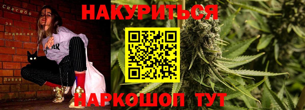 Каннабис план  Конопля White Widow  Вход с VPN  Канабис конопля  Можайск  Бошки марихуана Ganja 
